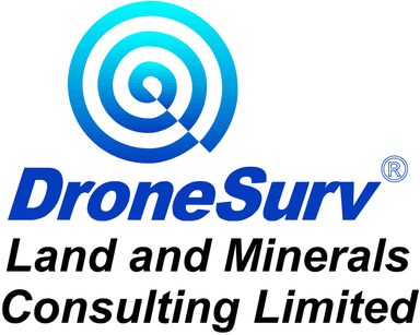 DroneSurv logo